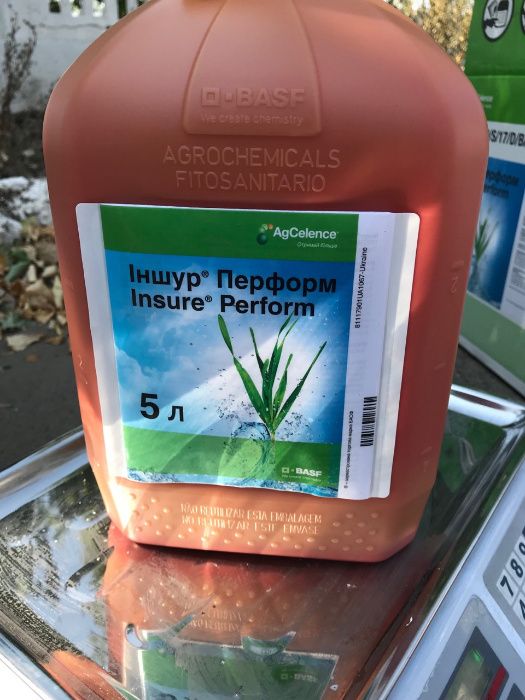 Іншур® Перформ - протруйник від Басф
