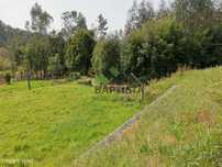 Terreno c/ 9900 m2 no Vale