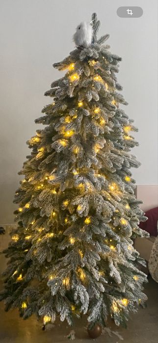 Ялинка засніжина