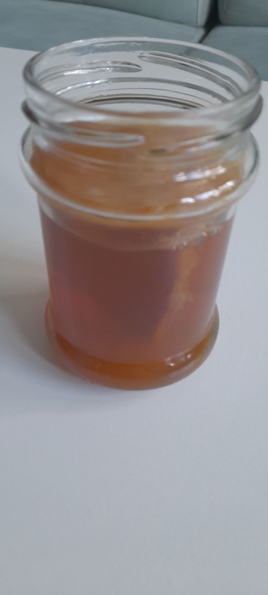 Kombucha grzyb herbaciany scoby