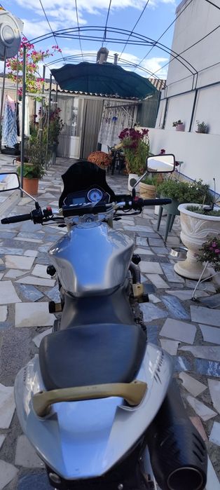 Honda Hornet 600