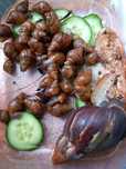 Lissachatina fulica Achatina Fulcia Ślimak Afrykanski