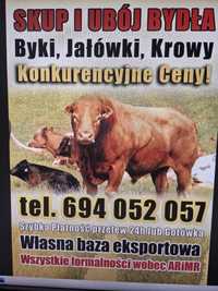 Byki krowy cielaki jalowki