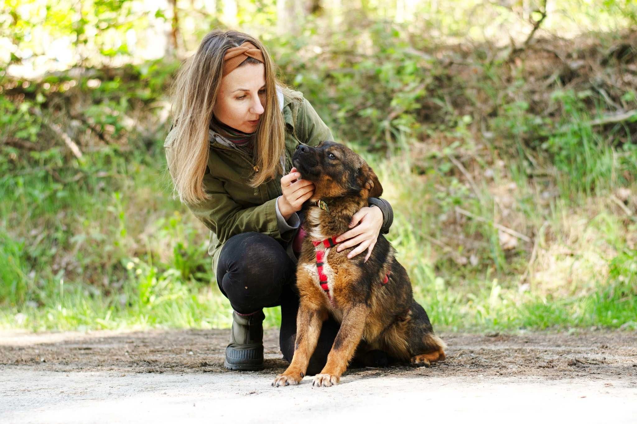 Barszczyk - uroczy, młodziutki uszatek do adopcji