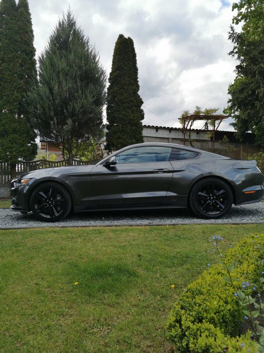 Ford Mustang 2.3 Niski Przebieg Wersja Europa w Bardzo Dobrym Stanie
