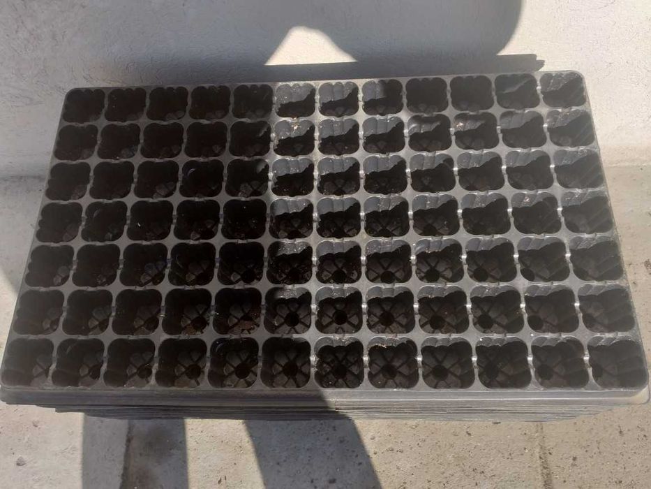 Multiplaty wielodoniczki 2zl/szt