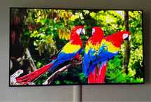 Телевізор Samsung UE50AU8000UXUA