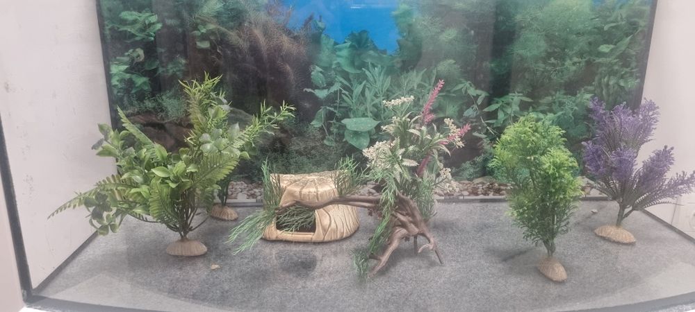 Akwarium 120L z szafką i ozdobami