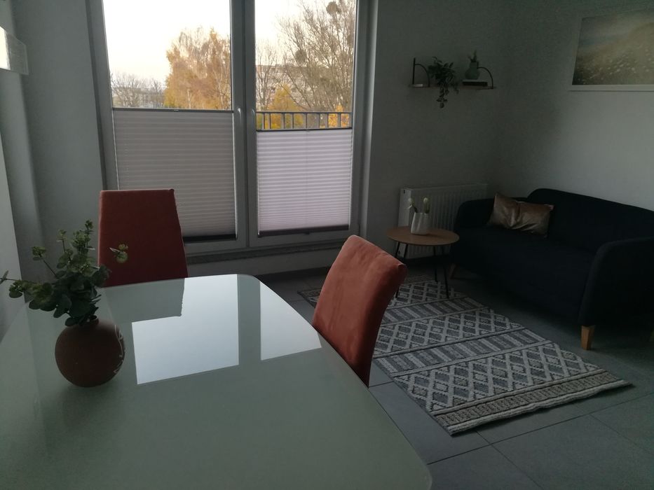 Dwa pokoje do wynajęcia