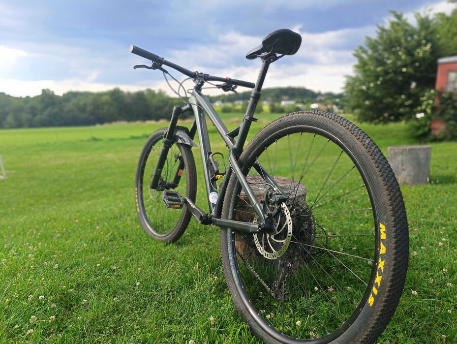 Rower MTB Dartmoor primal