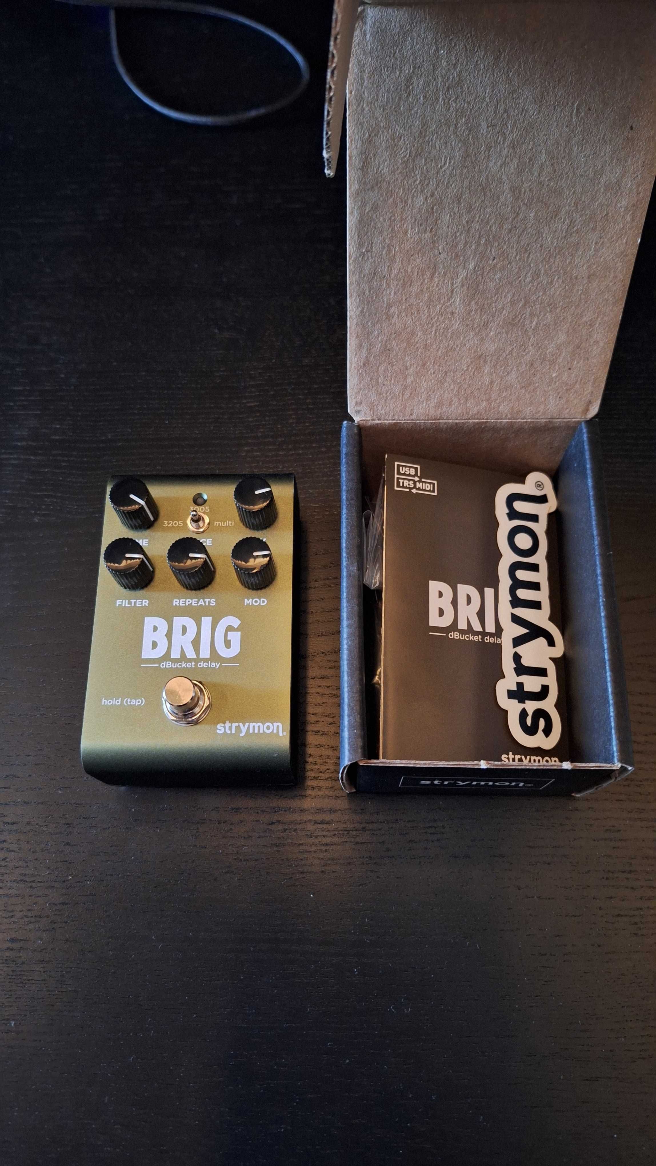 Strymon Brig Delay