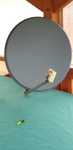 Kompletna antena sat 80