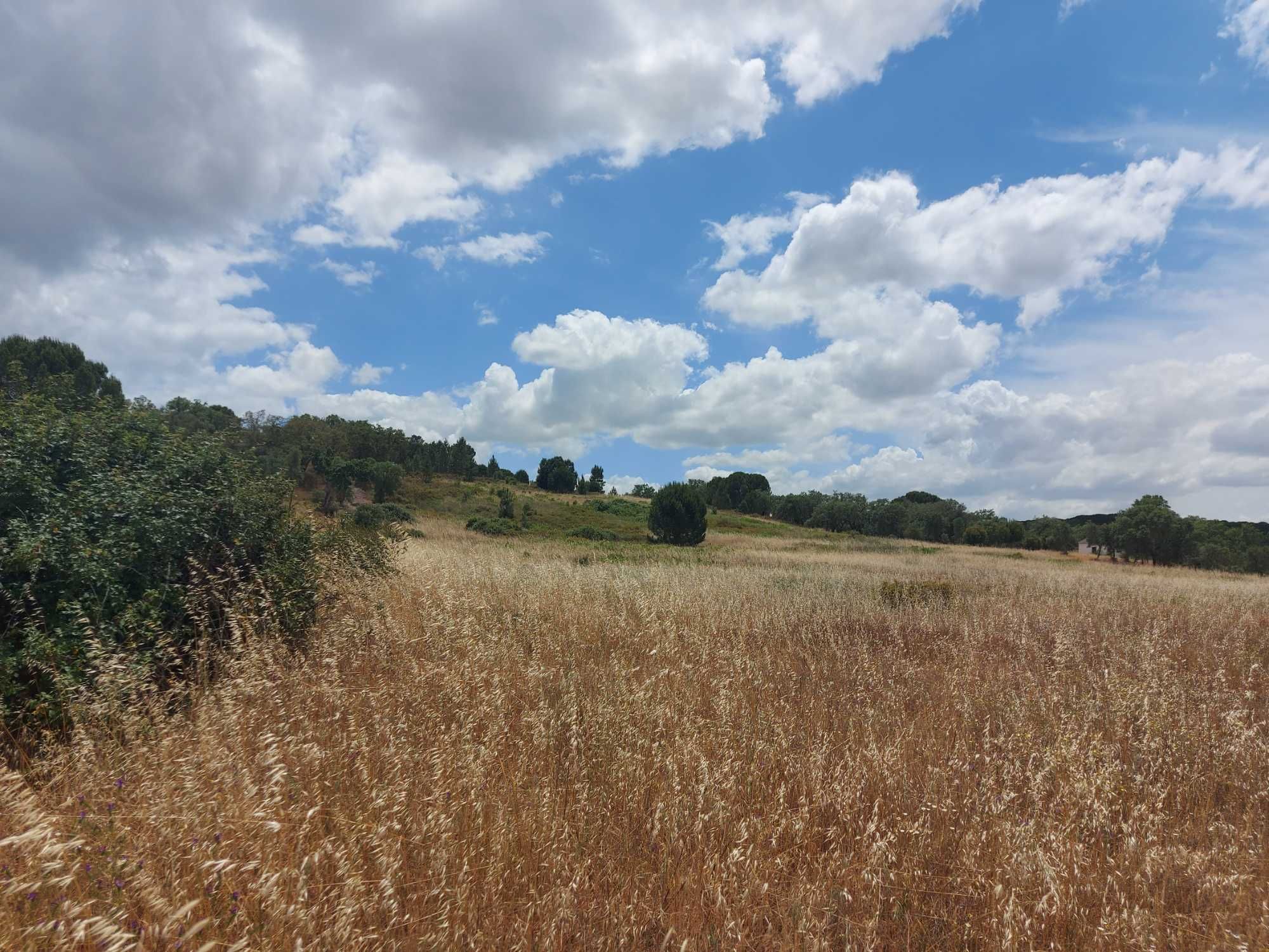 Terreno Rustico em Mora Cabecao