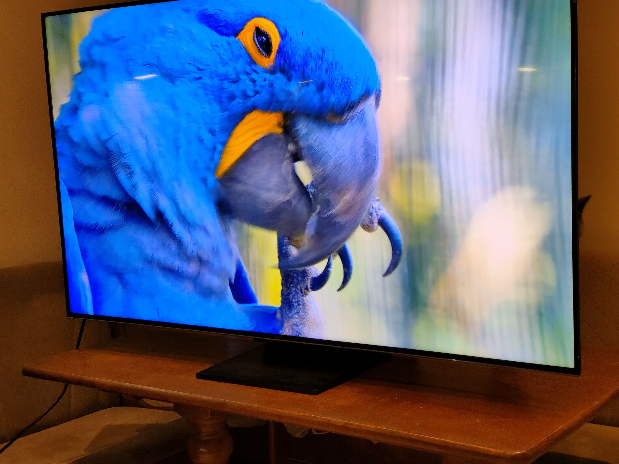 Telewizor TCL 55MQLED85 55" MINILED
