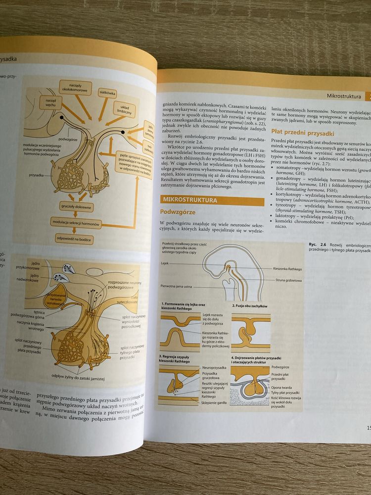 Crash Course Endokrynologia