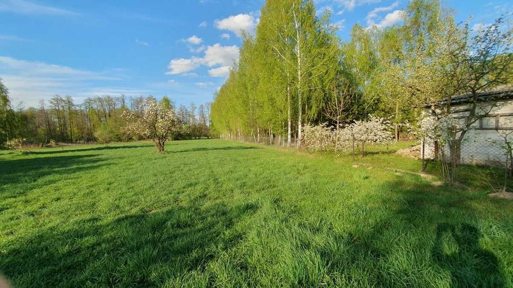 Działka siedliskowa