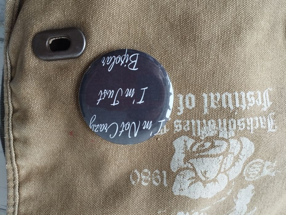 Pszypinka im not crazy i just bipolar