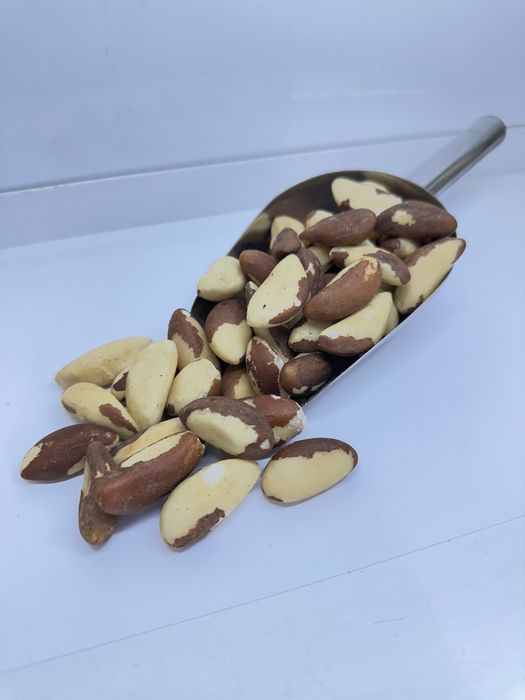 Бразильский горих