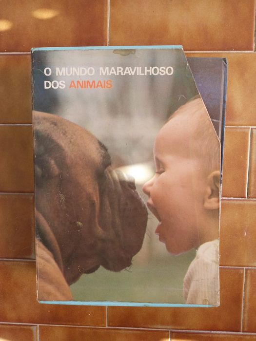 LIVROS: O Mundo Maravilhoso dos Animais