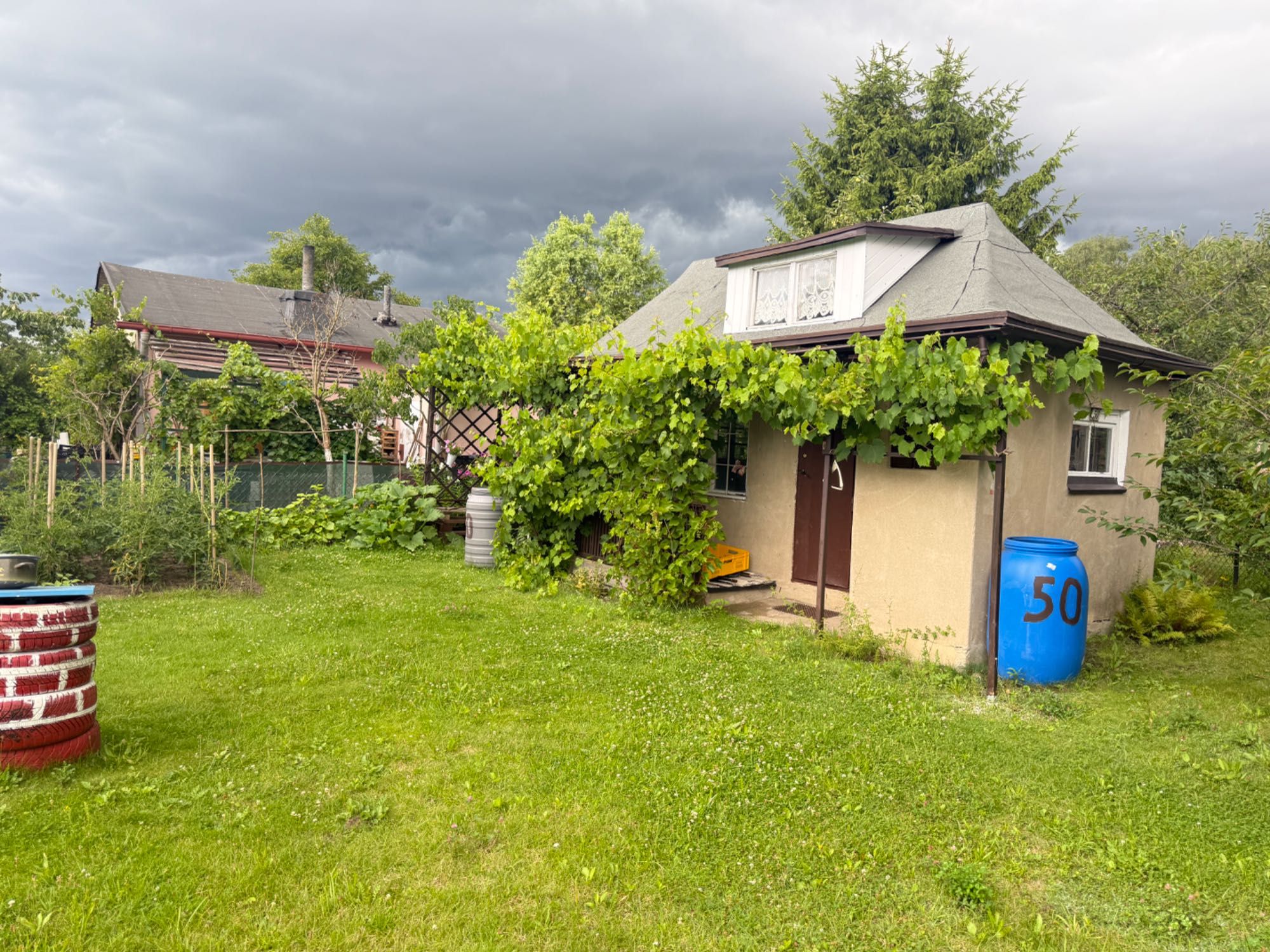 Piękna Działka ROD Jędrzychów „Grono”