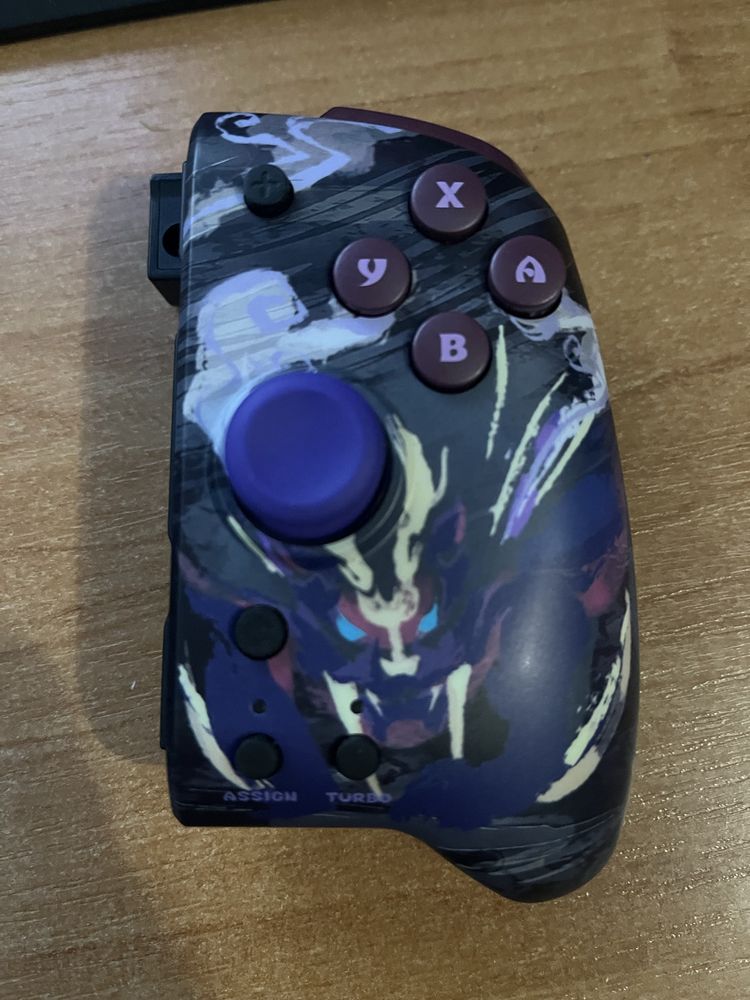 Pad hori nintedno switch