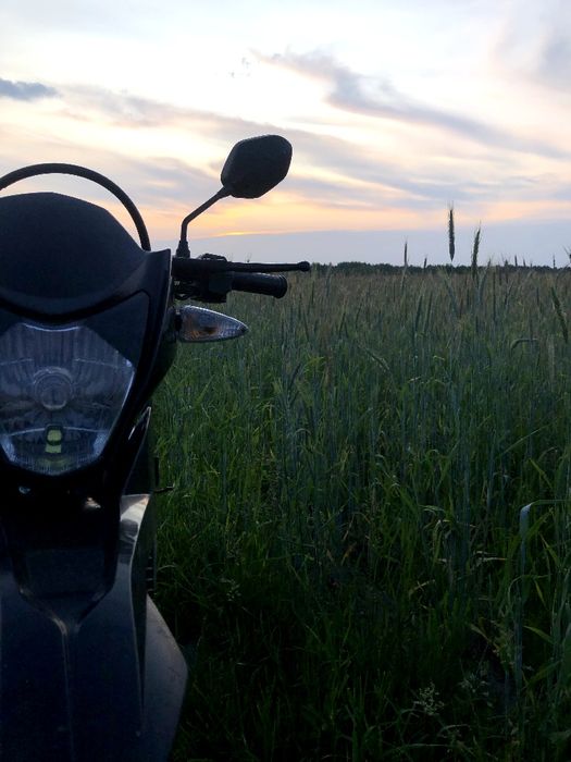 Продам лонсін прус 200, писати,не звонити