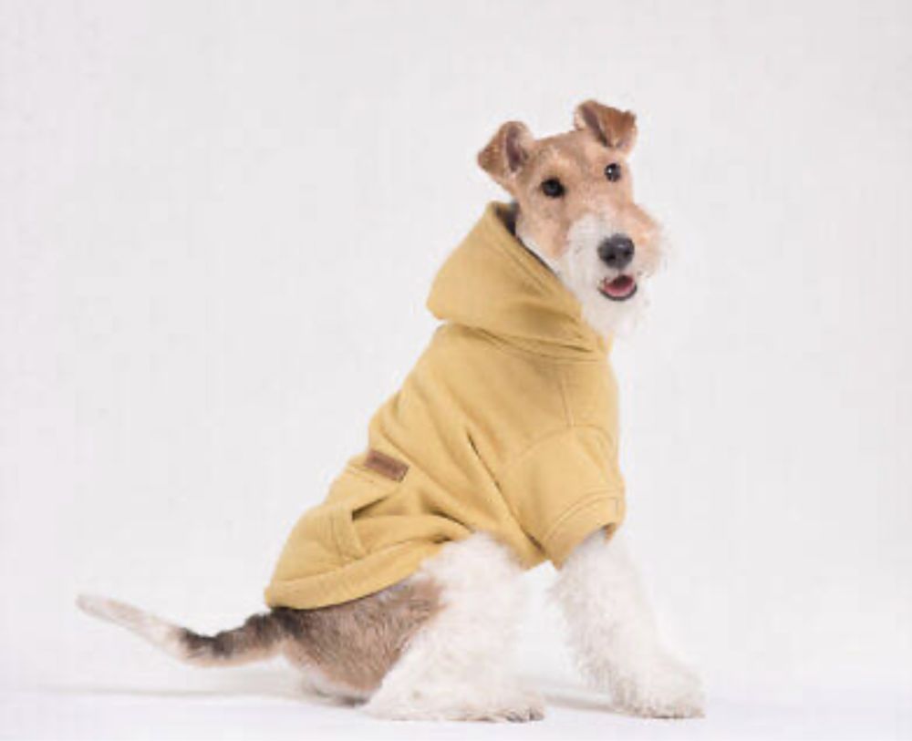 Bluza dla psa Amiplay Texas żółta 45cm