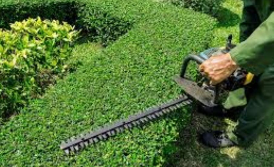 Empresa Jardinagem  - Especialista Técnico Jardineiro