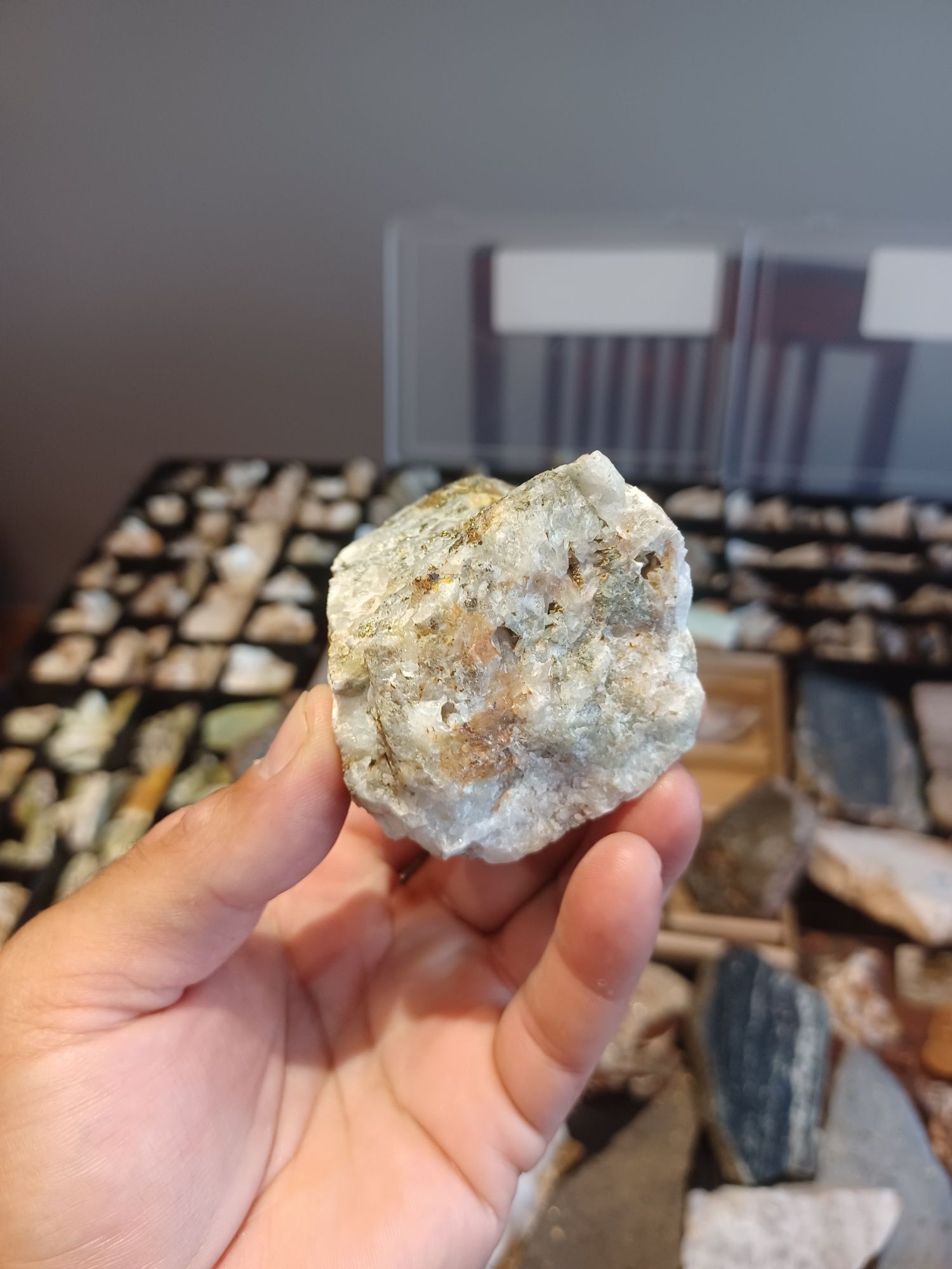 Minerały skamieniałości skały żyłą polimetaliczna z pirytem I chalkopi