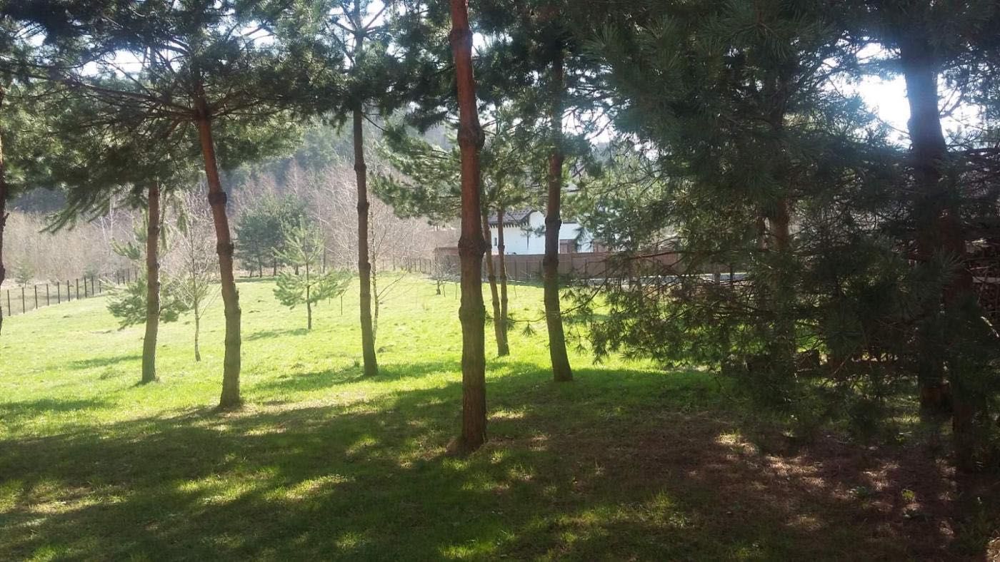Будинок/Ремонт/Вербова,Брюховичі/Львів