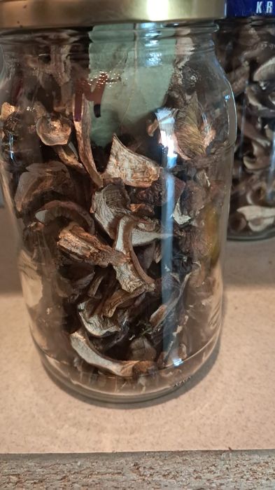 Grzyby suszone tegoroczne