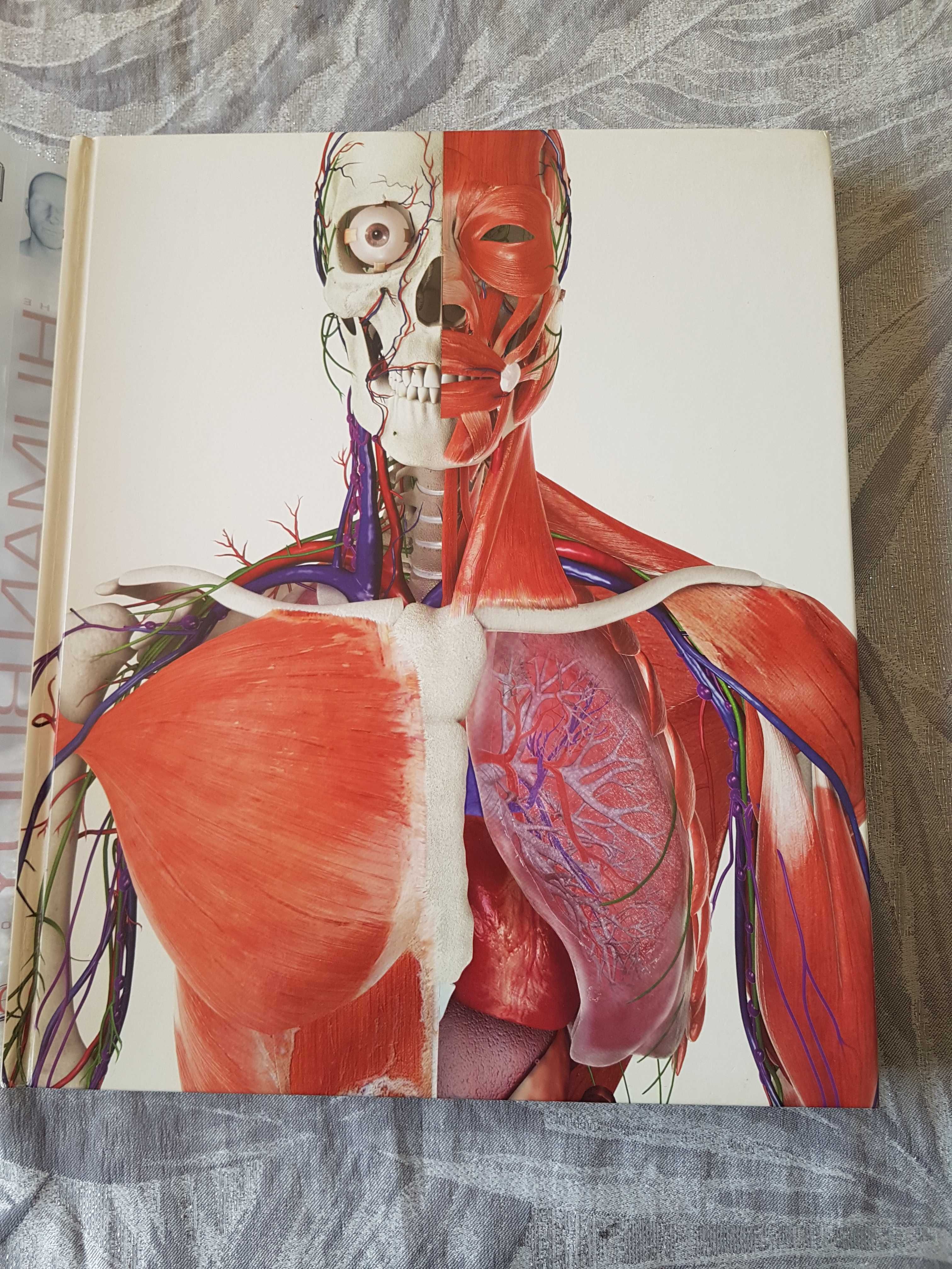 Album anatomii w języku angielskim.