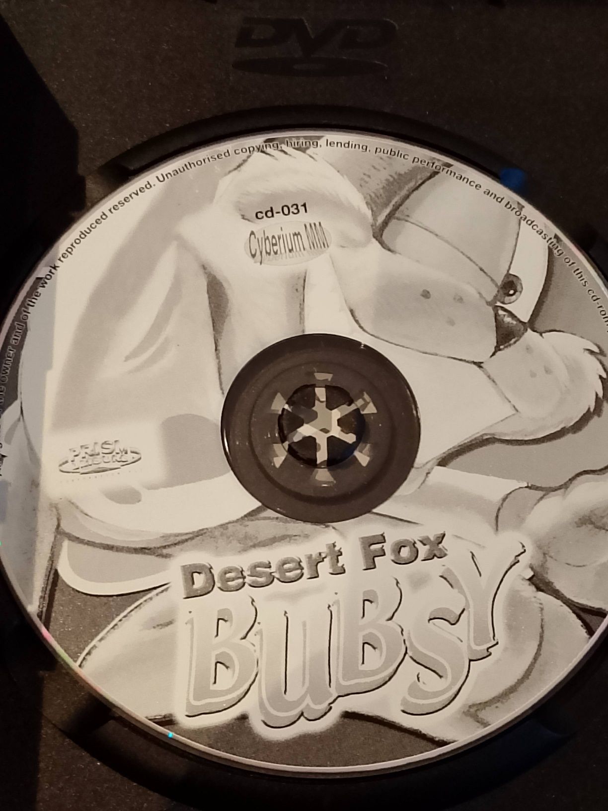 Desert Fox Bubsy PC Stara gra na komputer