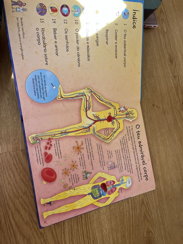 Livro do corpo humano