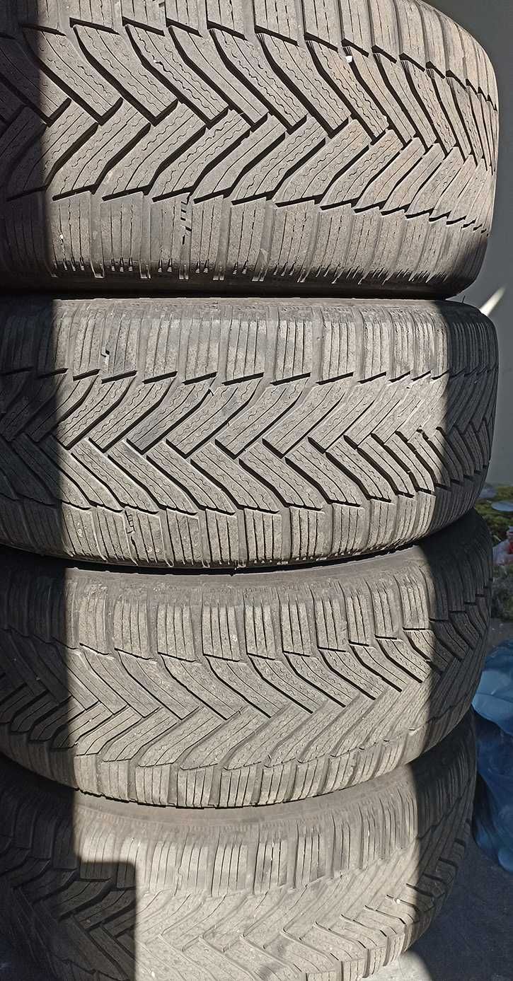 Шини Michelin Alpin6 225/50 R17