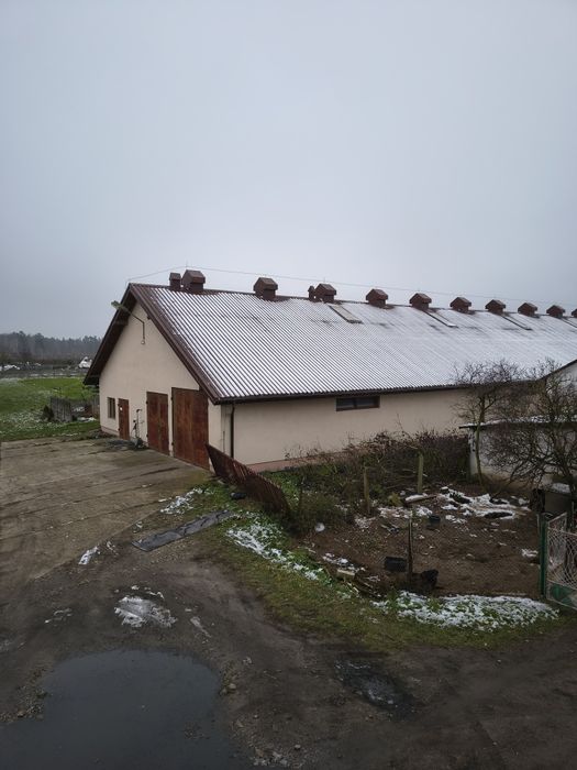 Budynek gospodarczy do wynajęcia.