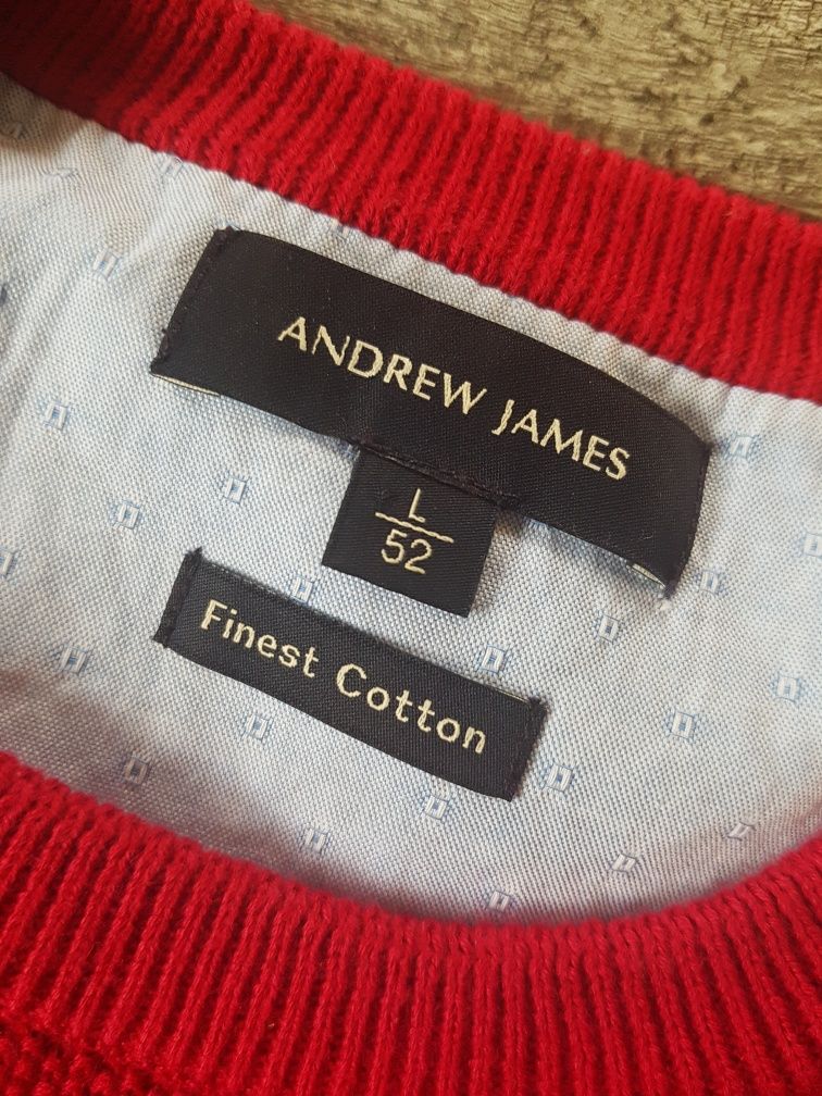 Sweter męski Andrew James