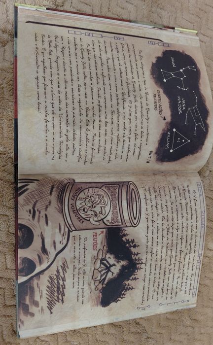 Gravity Falls - Diário 3