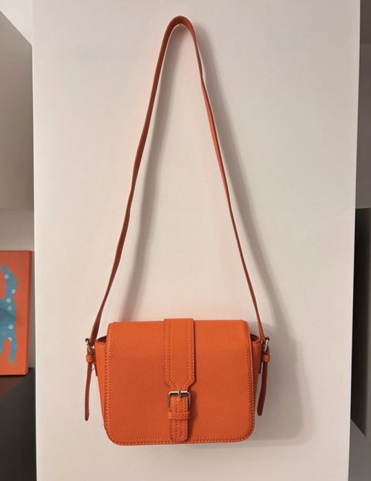 Carteria laranja stradivarius