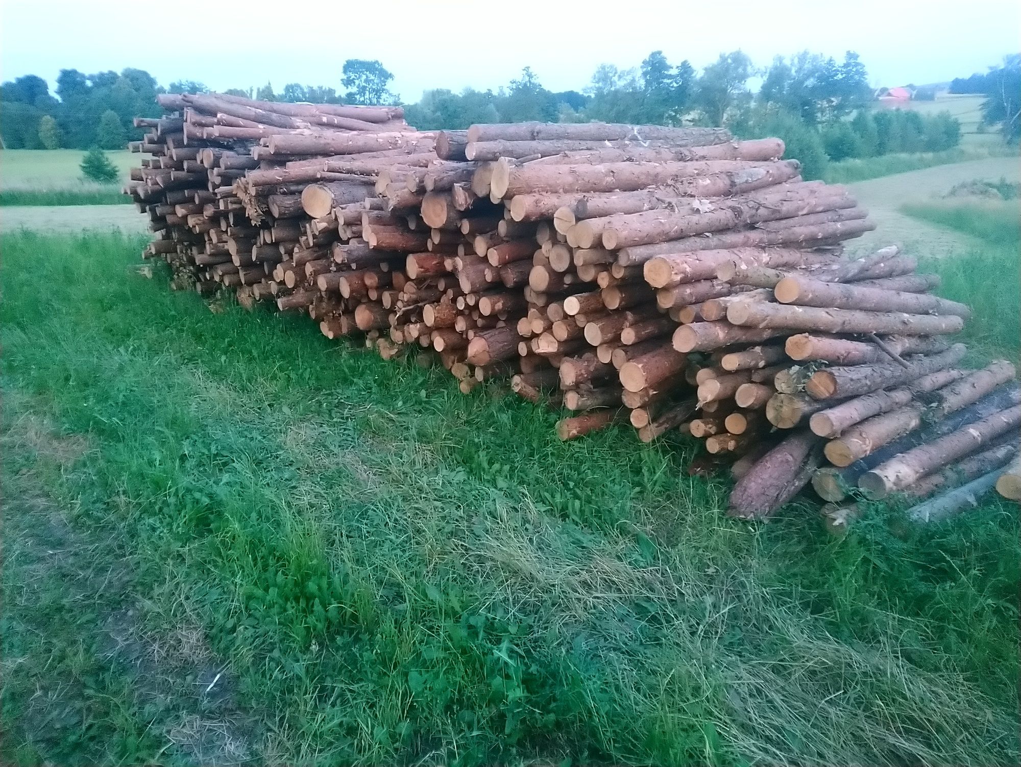 Drewno Brzoza Dąb S2a, kłoda o dł 2,5m - kominkowe, opał, wałki, metry