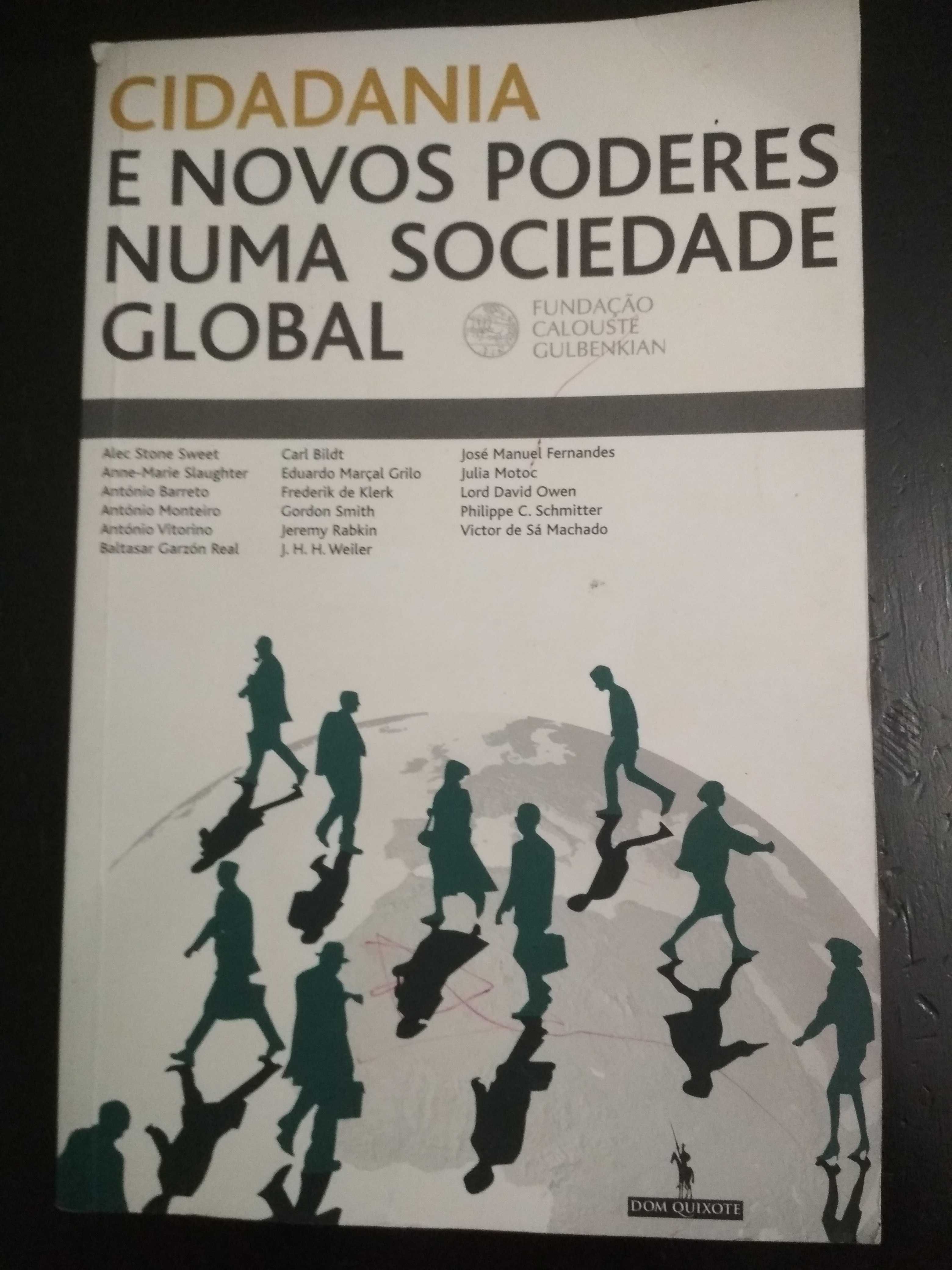 Cidadania e Novos Poderes Numa Sociedade Global