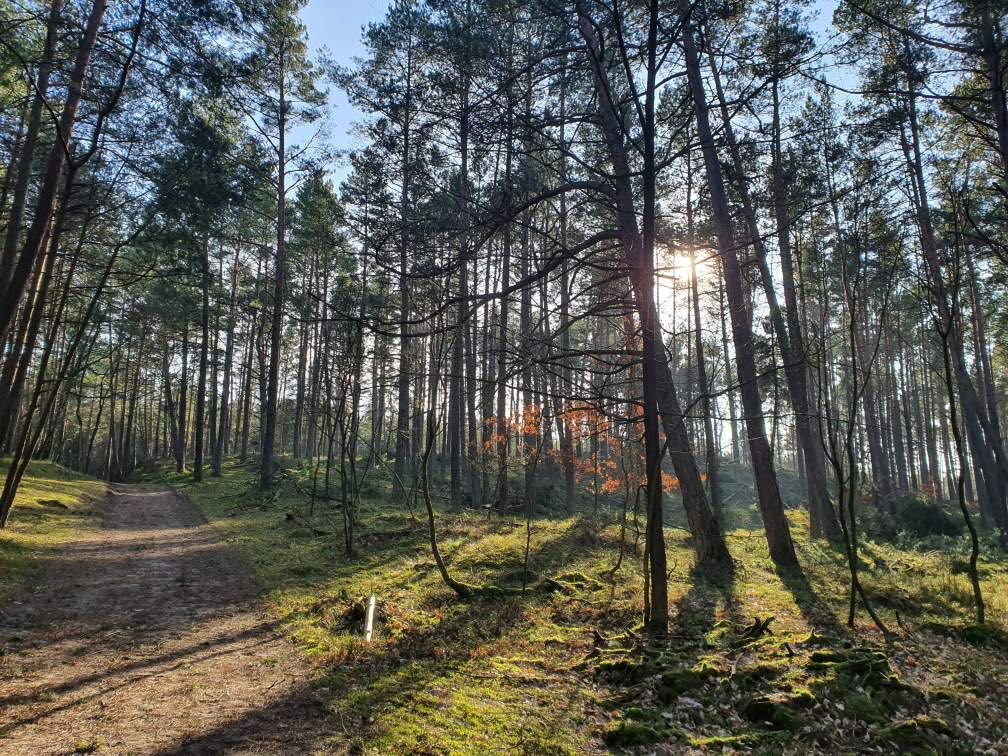 Baltic Sun Apartamenty z BASENEM Mierzeja Wiślana nad Morzem Sztutowo