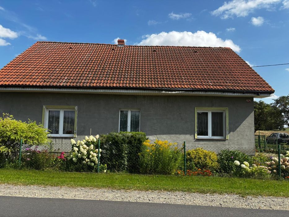 Sprzedam siedlisko przy lesie