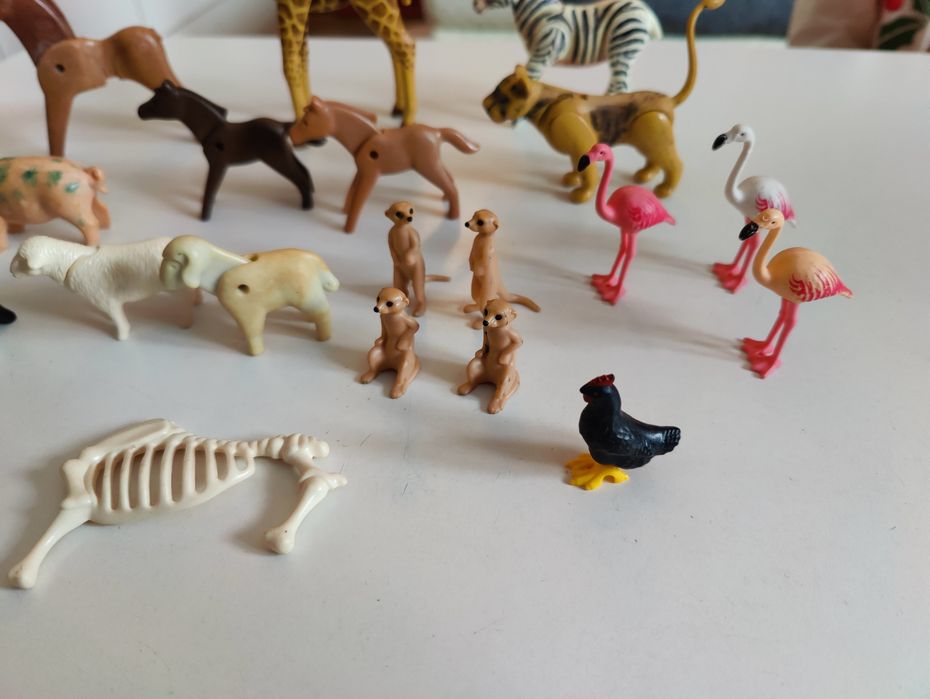 Playmobil zwierzęta - pingwiny, flamingi, surykatki