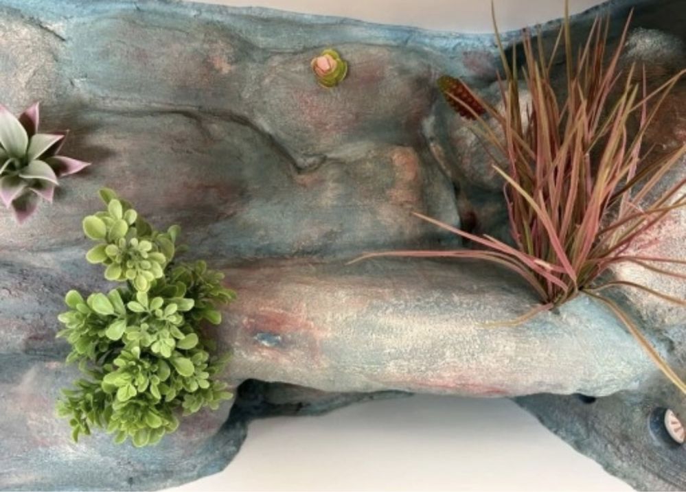 Terrarium 120 x 50 x 50 cm