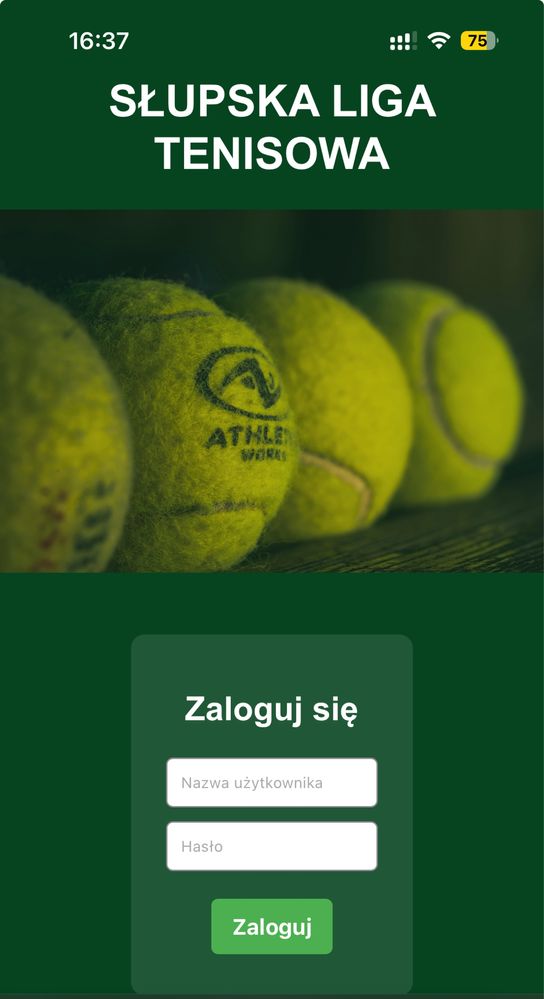 Strony internetowe www, blog, aplikacje webowe, wordpress, integracja