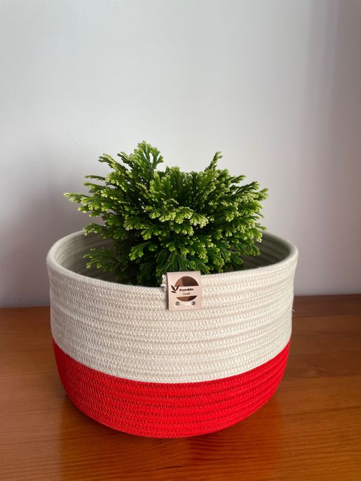 Cesto para plantas