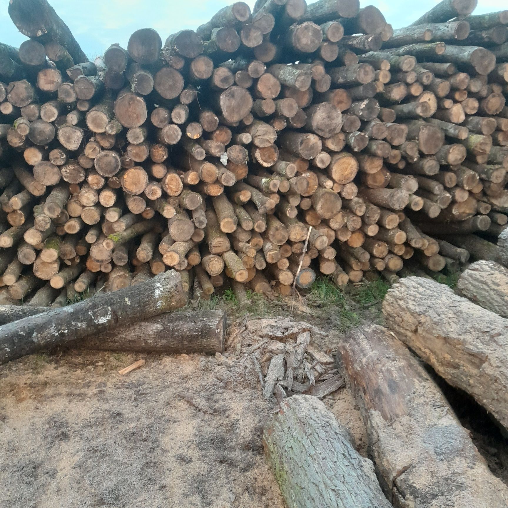 Drewno opałowe kominkowe Dąb Brzoza  Sosna