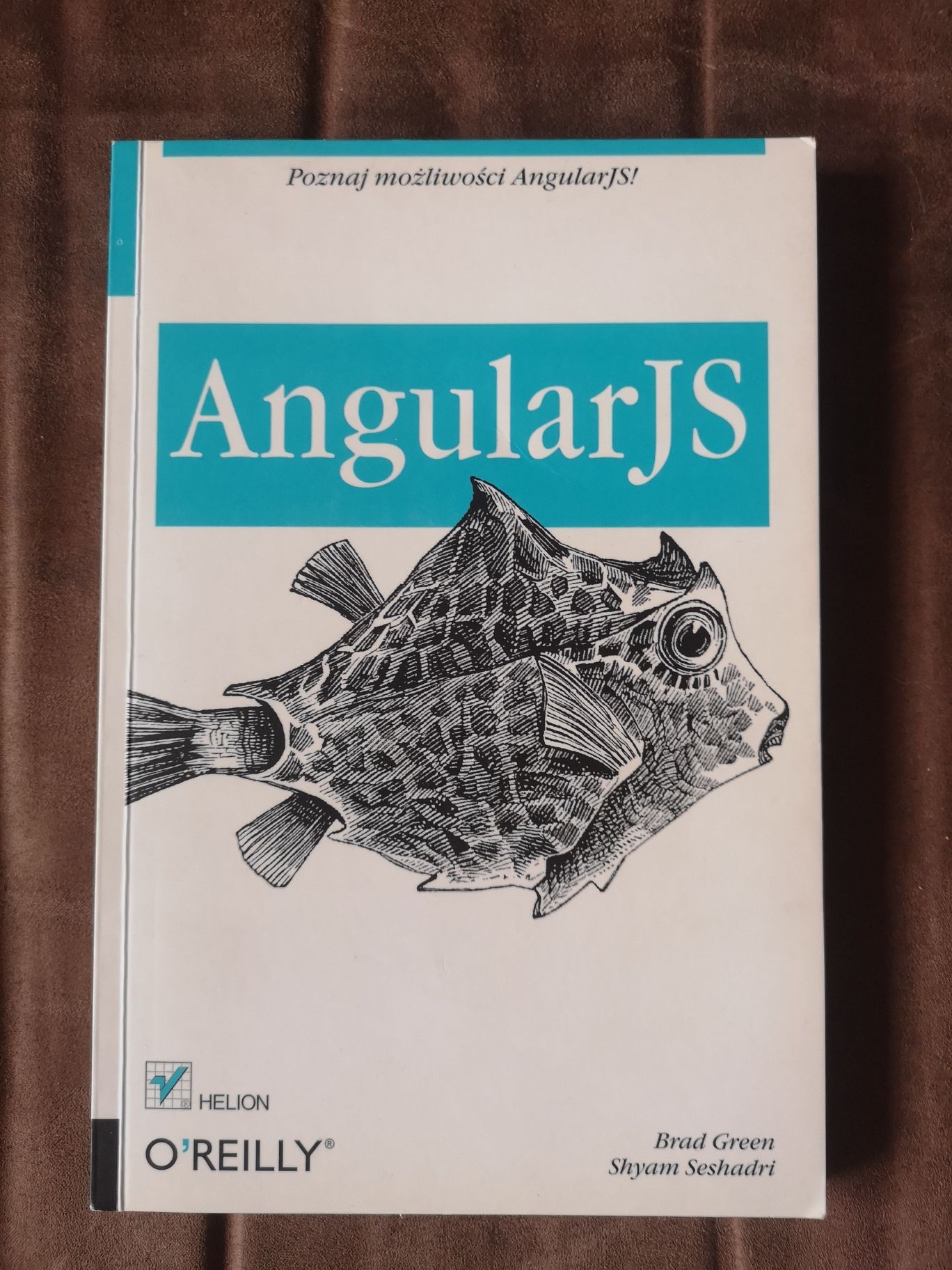 Angular JS - Brad Green i Shyam Seshadri