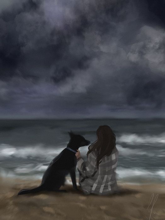 Выгул собак Запорожье